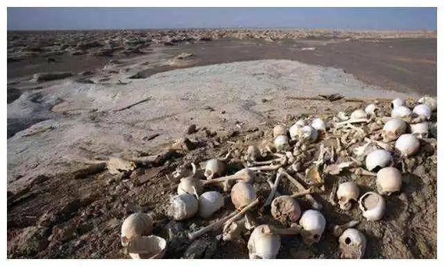 人类禁区昆仑山死亡谷谷内遍地白骨触目惊心专家进谷解开秘密