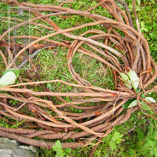 神农架血通片野生大血藤片药材红大藤片心脑血通茶