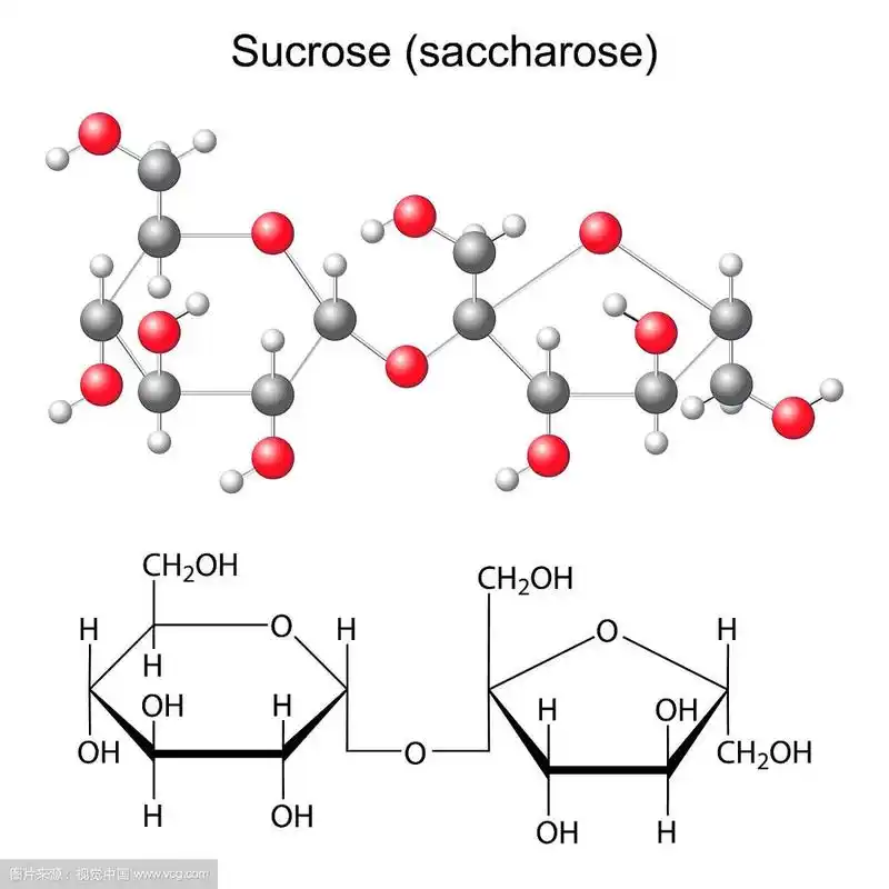蔗糖的结构化学式和模型
