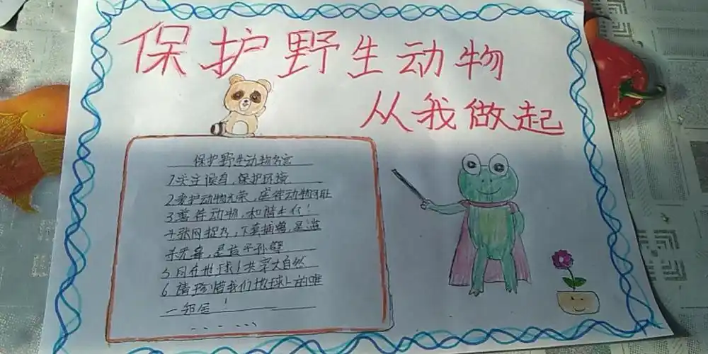 富裕县友谊乡中心学校五年级组保护野生动物从我做起手抄报作品展