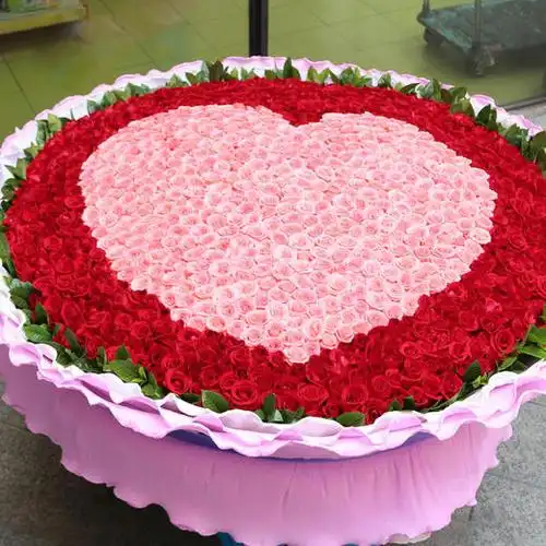 999朵玫瑰巨型大气花束告白求婚生日情人节纪念日浪漫惊喜送女朋友