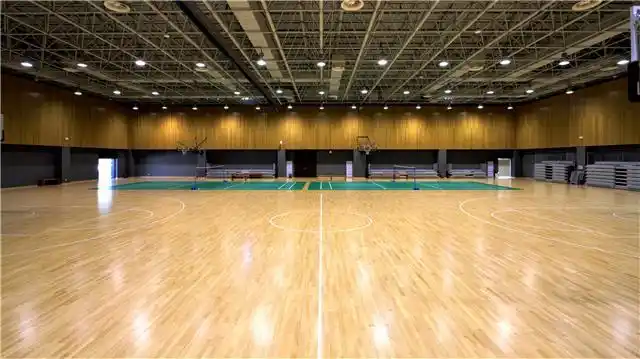 篮球馆双龙骨运动木地板