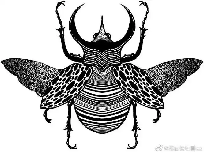 黑白装饰画##线描##儿童线描画##线描##儿童画线描课资料##昆虫