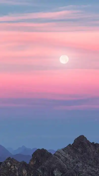 400_711竖版 竖屏