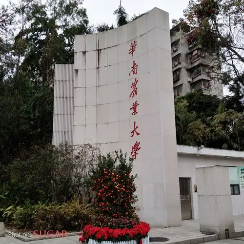 初七到华南农学院欣赏花草树木