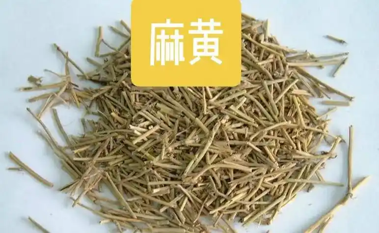 中药材麻黄