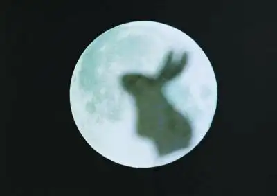 玉兔精是公的还是母的?