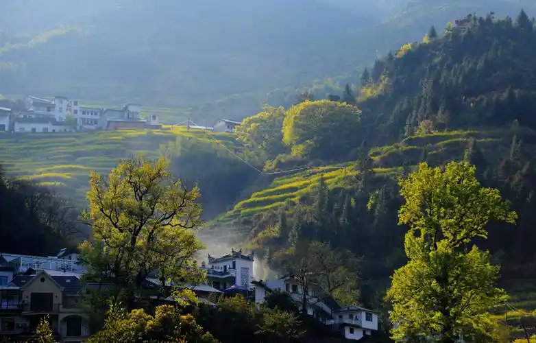 写美篇被镜头一点一点抠出细节 春天的芭蕾 脚尖旋转画出山水构图 与
