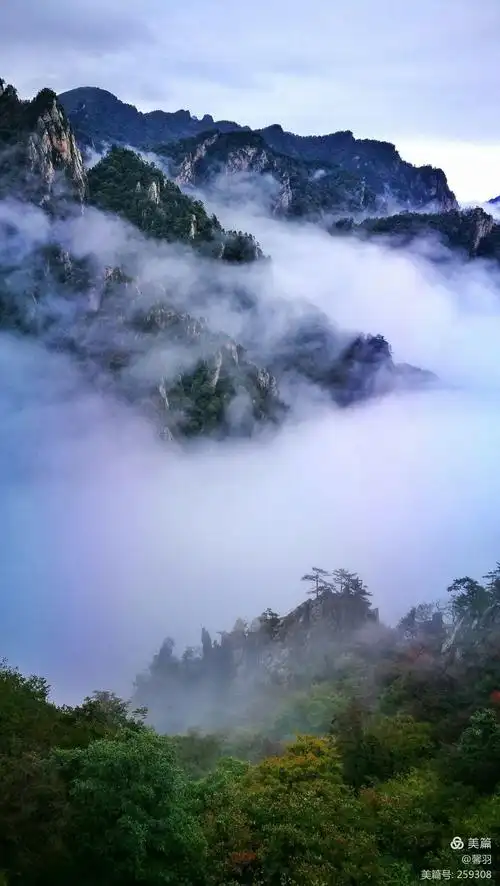 《雨后老界岭现云海奇观 ,云雾缭绕宛若仙境》