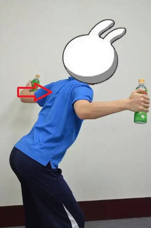 徒手重量训练动作-背部