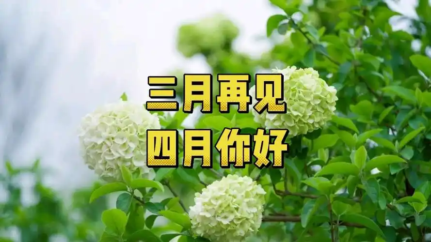 三月再见四月你好
