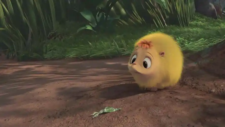 高分动画来袭!森林里的神奇动物们