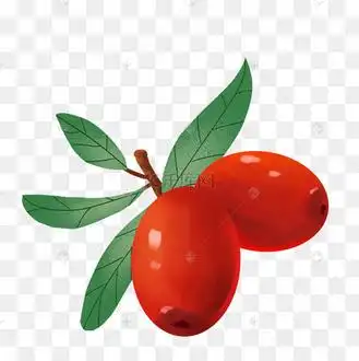 枣卡通图片_枣卡通设计图片素材大全-千库网