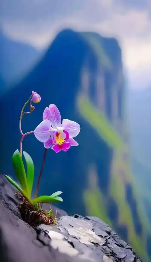 真的很美,心旷神怡!_网络综合_图片_谢意