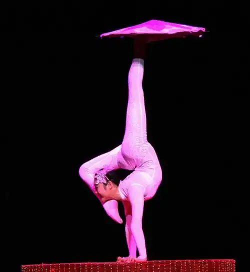 属于众多杂技项目中的一种,与其他杂技演出不同的是,柔术是通过演员