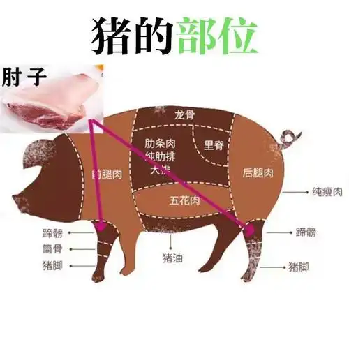 整只肘子2斤装河南特产太康肘子五香猪肘熟食麻辣猪肘子整只麻辣五香