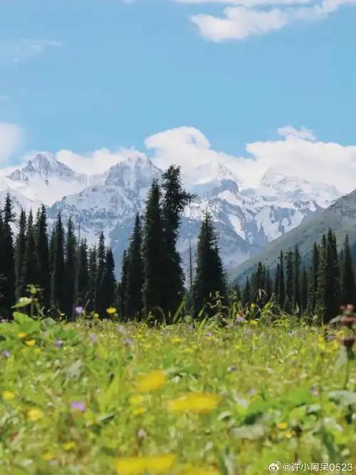 发展看新疆##我的阿勒泰#  山川壮丽90,绿意盎然,风和日丽,绿草如茵