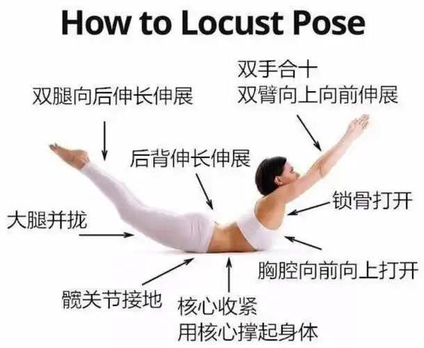 瑜伽体式精讲之——蝗虫式