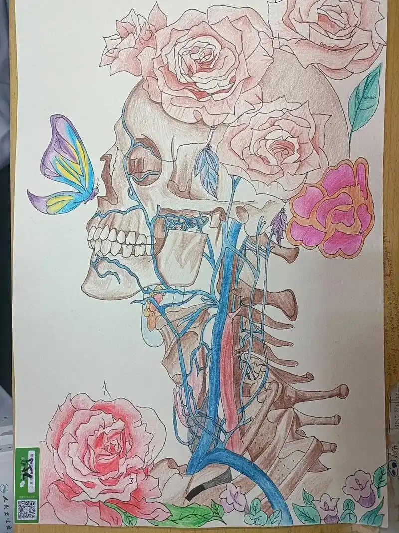 人体解剖绘图大赛|古风国风创意绘画 原图来自小红94上另一个小姐姐