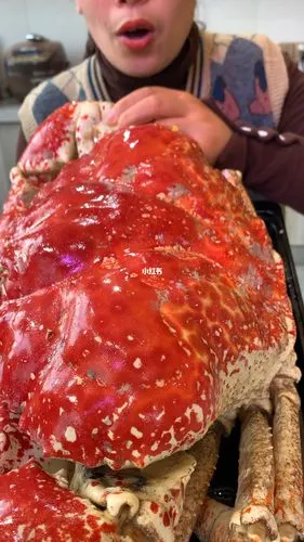 有吃过皇帝蟹吗