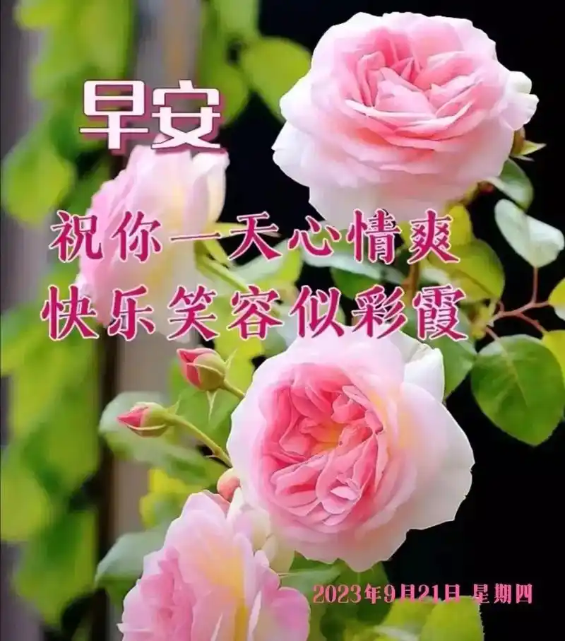 好运连连到平安健康2023年9月21日星期四心存美好安早四同早安美好喜