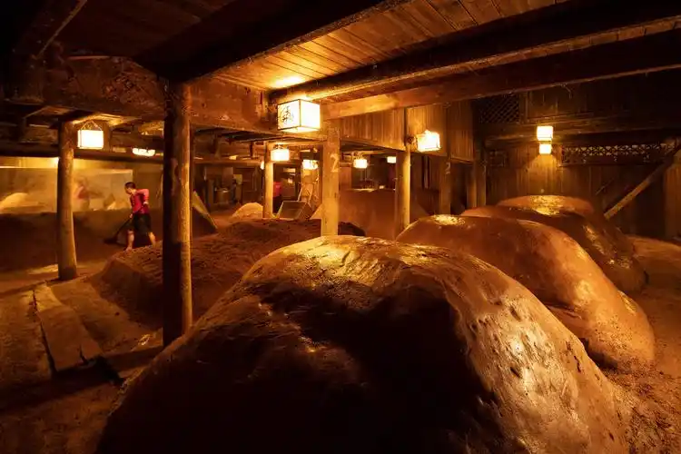 新质生产力为牵引 五粮液引领中国酒业高质量发展 - 快讯 - 华财网-三