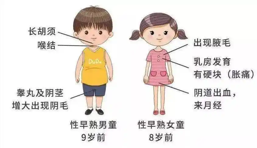 小女孩乳房早发育的特征_早发育的特征