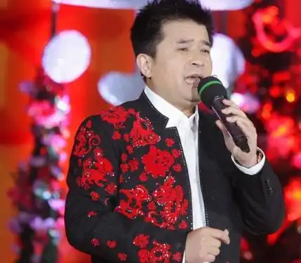 从央视巨星到乡村生活,2015年转折点改变一切|电视|星光大道|央视主持