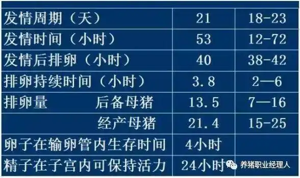 每天查情一次配种一次对生产影响大吗?|母猪|猪场|仔数_网易订阅