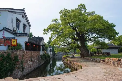 苏州西山岛,明月湾古村