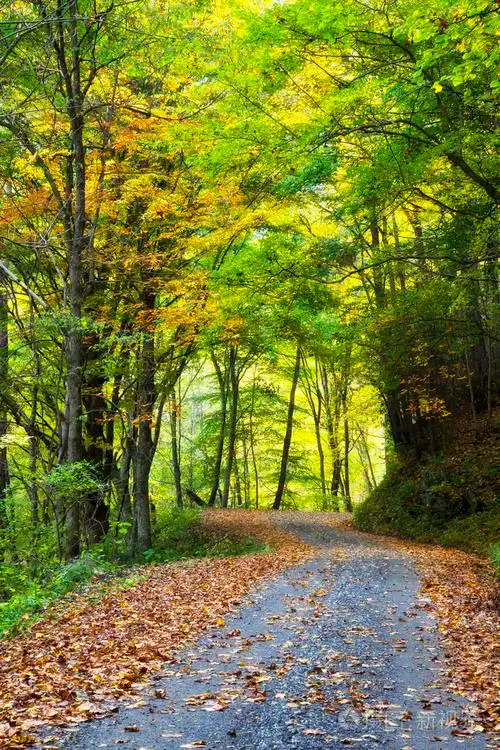 在秋天的乡间小路