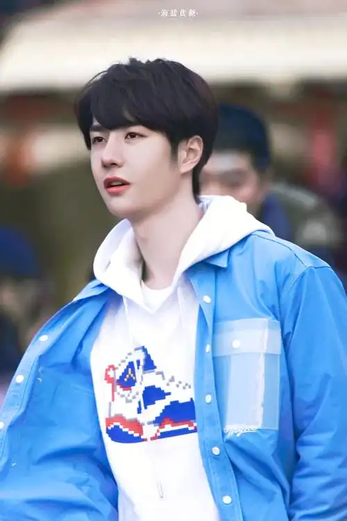 【王一博】陪你到世界之巅/饰季向空