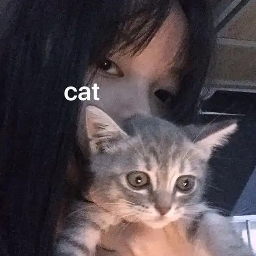 抱猫女头