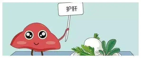 如果想要在春天养肝一定要多吃这些食物我们一起来了解一下