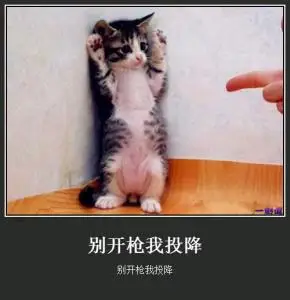 别开枪我投降别开枪我投降_开枪_投降表情