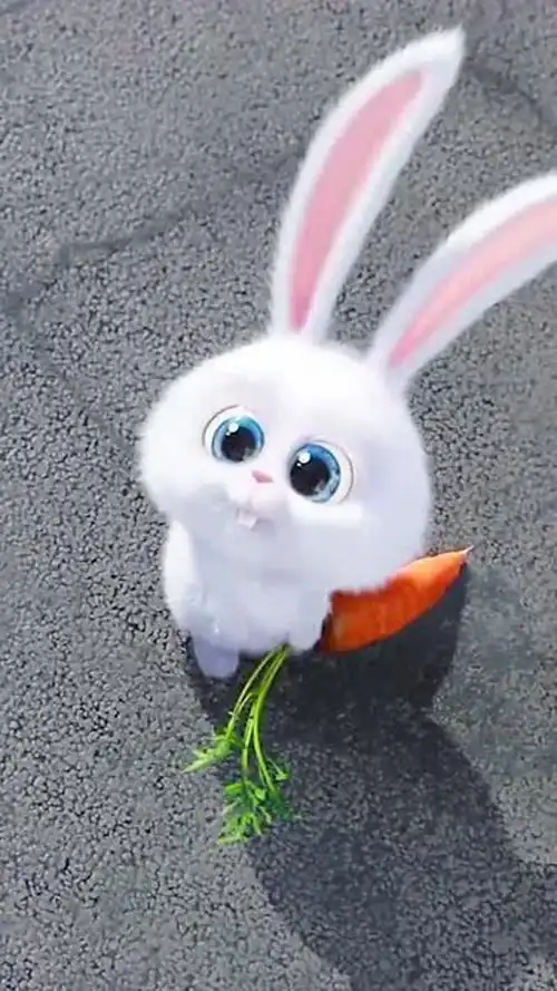 720_1280竖版 竖屏