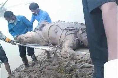 但游的家人并不认同截图中男子身份. 新化县委供图