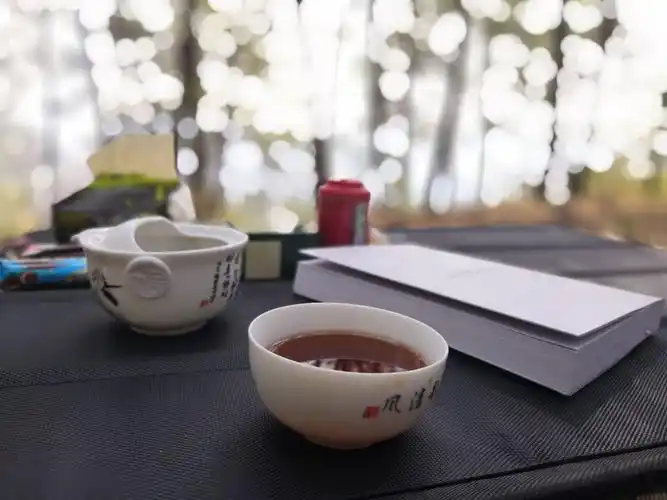 读一本书,品一杯茶,在茶香中悠然体味书香之美