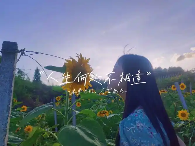 书上说人生何处不相逢