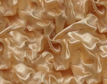 上海丝绸的基本简介