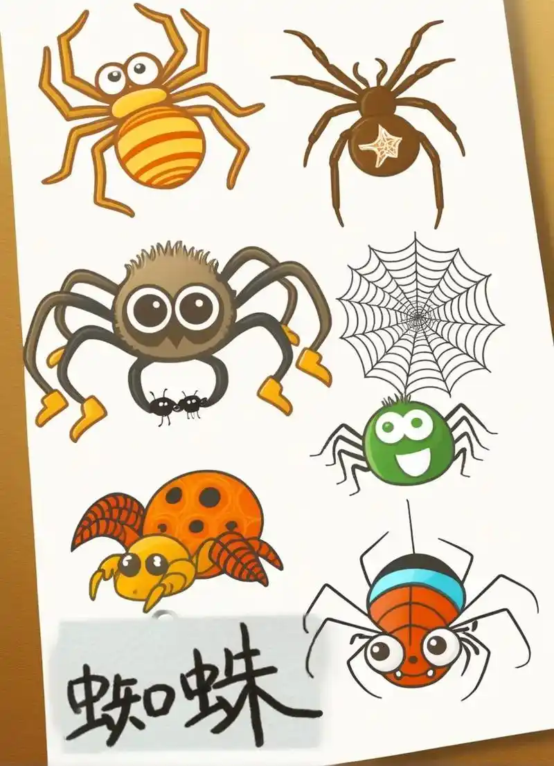 蜘蛛简笔画大合集!你知道吗?蜘蛛其实不是昆虫哦!现在就来学习 - 抖音