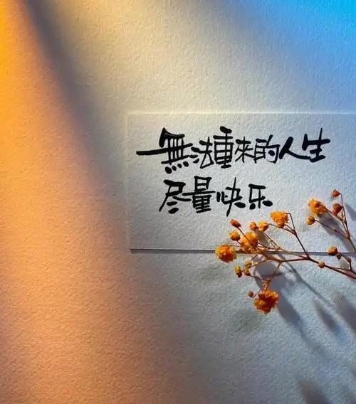 励志语录,决定你一生的不是你的能力,而是你的选择