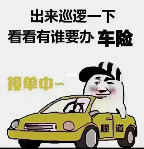 办车险找专业人士