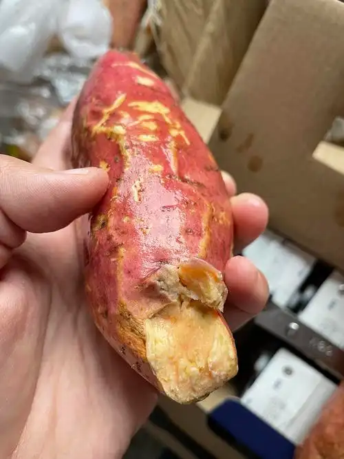 申删已解决pdd买的红薯8个坏了5个