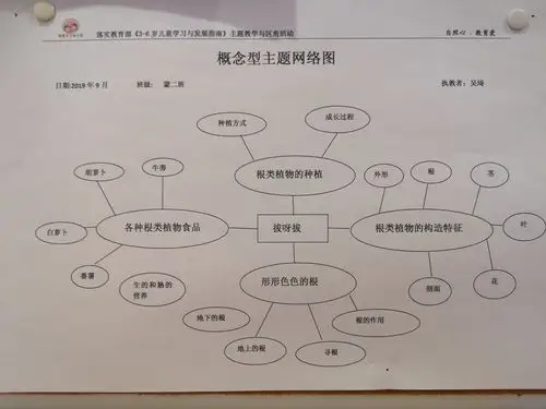 老师们为进行主题教学活动设计的概念型网络图和领域整合网络图.