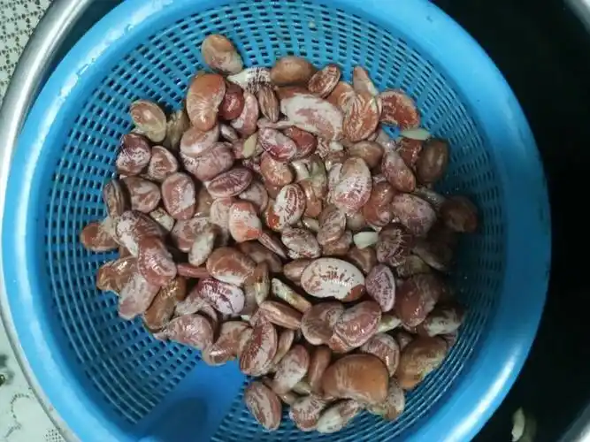 本地状元豆,也叫鱼豆,包粽子必备!