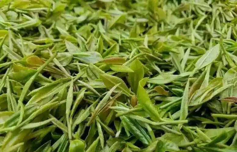 2021年明前贵州石阡苔茶口感特点介绍