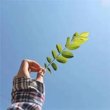 意境头像大全 qq意境头像 唯美意境头像 腾牛个性网