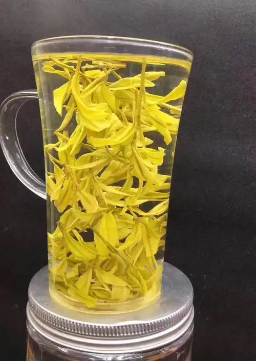 头春新茶黄金芽特级安吉白茶500g包邮 - 茶店网chadian.com--买好茶,