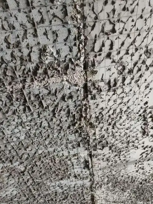 提前浇水湿润,用 108 胶,水泥和过筛细砂混合而成的水泥砂浆做甩浆液